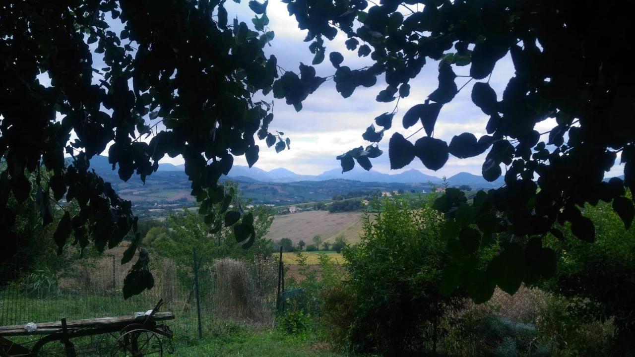 I Balzani B&B Matelica Luaran gambar